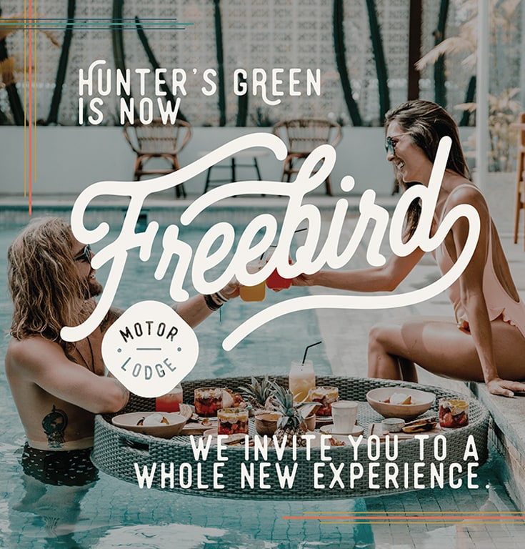 group of people enjoying cocktails in a swimming pool at Freebird Motor lodge